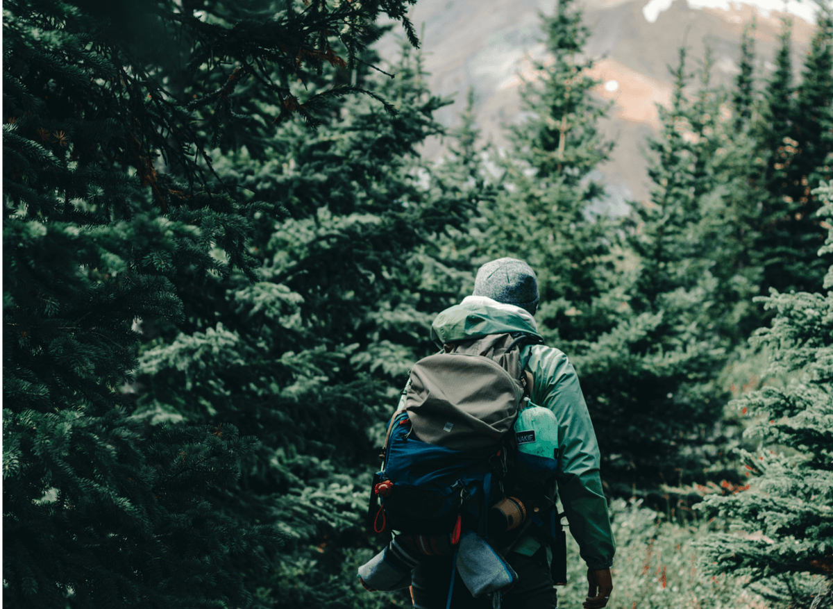 Second-Hand Gear for Van Life in Europe