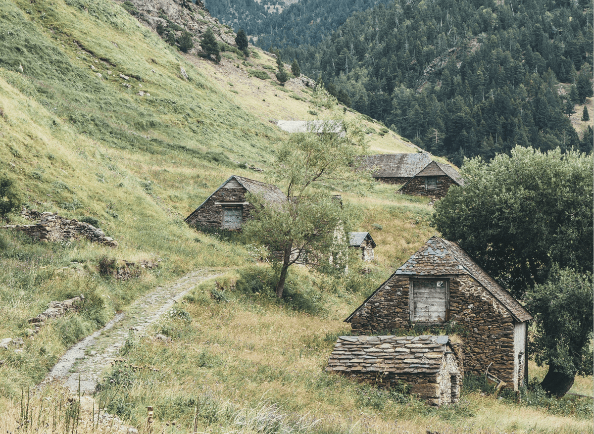 Rural Revival: The Impact of Remote Work on Countryside Economies